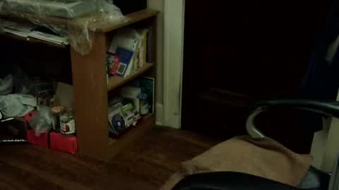 loades182025 online show from 11-12-25, 03:40