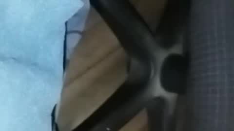 Snapshot of loco_boy007 chatting on 02-16-26, 07:10 loco_boy007 online show from 02-16-26, 07:10