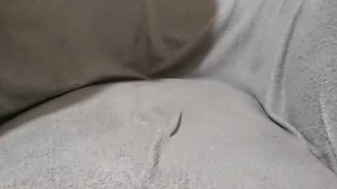 Snapshot of lokoloko22 chatting on 11-28-25, 05:37 Lokoloko22 online show from 11-28-25, 05:37