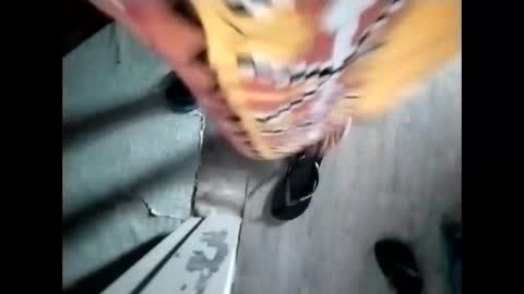 tey online show from 12-04-25, 11:24