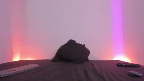 Lola online show from 01-05-25, 08:00