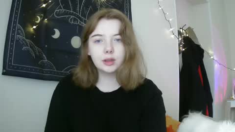 Snapshot of lollylol11 chatting on 02-15-25, 12:43 Lilly online show from 02-15-25, 12:43