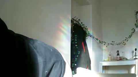 Snapshot of lollylol11 chatting on 02-16-25, 11:38 Lilly online show from 02-16-25, 11:38