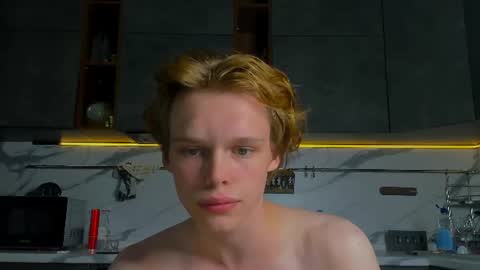 Snapshot of lolnoillimsary chatting on 06-15-26, 11:56 Nelis online show from 06-15-26, 11:56