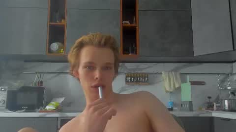 Snapshot of lolnoillimsary chatting on 06-26-26, 11:47 Nelis online show from 06-26-26, 11:47