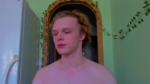 Snapshot of lolnoillimsary chatting on 07-15-26, 02:44 Nelis online show from 07-15-26, 02:44