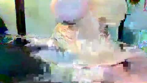 Long Dong91 online show from 01-03-25, 05:10