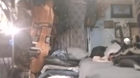 Mr. FogoDeChao online show from 04-20-26, 12:57