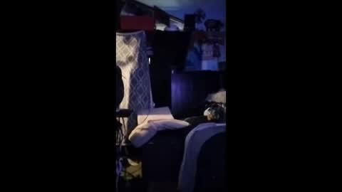 Mr. FogoDeChao online show from 06-11-26, 12:32