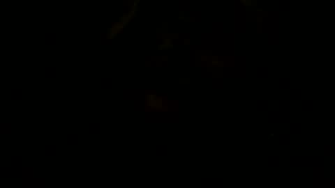 loose565 online show from 02-23-26, 06:49