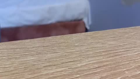 Snapshot of lou_rosse chatting on 01-22-25, 08:49  Lou Rosse  online show from 01-22-25, 08:49