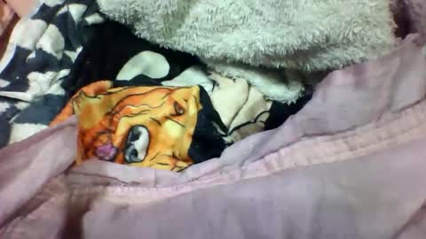 Snapshot of lovaelisa chatting on 11-02-25, 02:52 lovaelisa online show from 11-02-25, 02:52