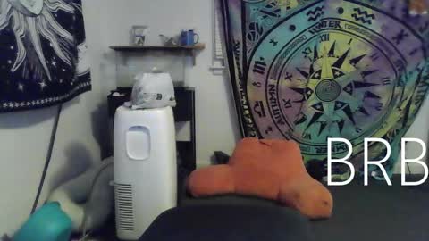 Snapshot of lovefun11334 chatting on 01-18-25, 12:46 Bigtitsgirl113 online show from 01-18-25, 12:46