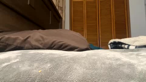 Amber online show from 02-12-25, 01:27