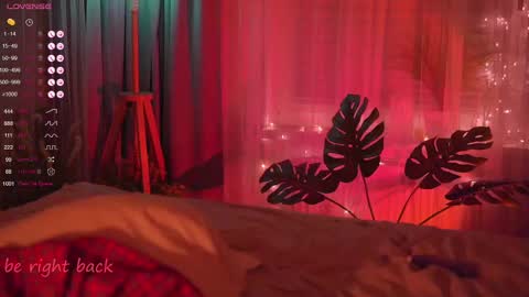 Nelly online show from 02-21-25, 05:20