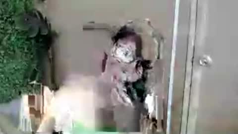 kimmy online show from 07-13-26, 07:33