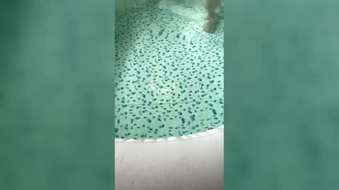 lovelyladyflaccid online show from 05-31-26, 06:09