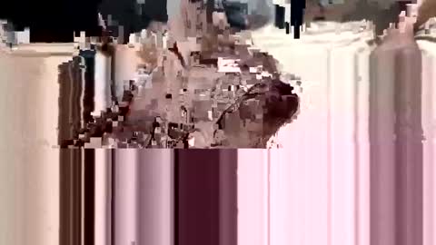 Snapshot of loverboy000017 chatting on 03-11-25, 01:05 loverboy000017 online show from 03-11-25, 01:05