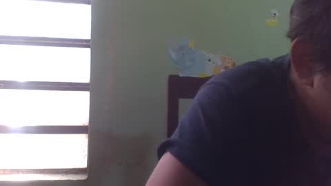 Snapshot of lpmauriciosantamaria chatting on 12-05-25, 04:58 lpmauriciosantamaria online show from 12-05-25, 04:58