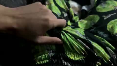 lu495400 online show from 01-26-25, 03:06