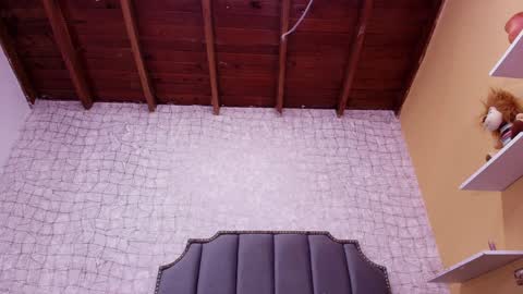 Lucero W online show from 01-28-25, 10:23