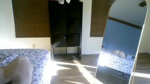 Snapshot of luchamuscles chatting on 12-05-24, 10:01 luchamuscles online show from 12-05-24, 10:01