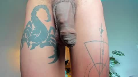 Snapshot of lucian_davii chatting on 05-29-26, 01:09 Pirulo online show from 05-29-26, 01:09