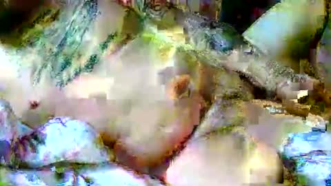 lucky134u online show from 04-06-26, 11:44