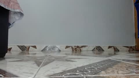 Luna--Blueberry online show from 12-14-25, 04:40