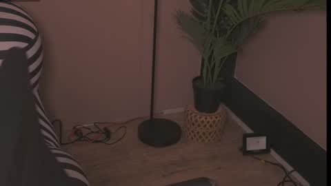 Lunita online show from 04-15-26, 11:50