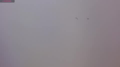 Snapshot of luna_naughty66 chatting on 11-17-25, 08:36 Luna and Rick online show from 11-17-25, 08:36