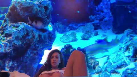 LunaBex online show from 02-18-26, 09:22