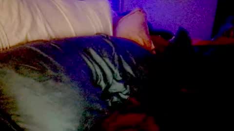 Snapshot of lunadaddysgirl chatting on 11-25-25, 09:20 Luna Daddys Girl online show from 11-25-25, 09:20