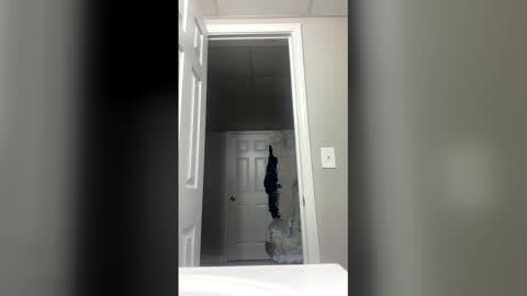 lunamoth00 online show from 12-15-25, 12:04