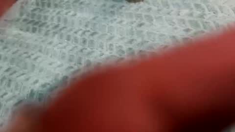 Snapshot of lust_4_daze chatting on 02-20-26, 12:49 lust_4_daze online show from 02-20-26, 12:49