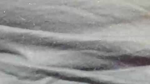 Snapshot of lustgardener67 chatting on 01-09-25, 11:24 lustgardener67 online show from 01-09-25, 11:24