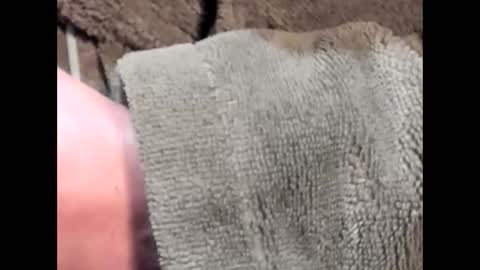 Snapshot of lustgardener67 chatting on 03-04-25, 07:19 lustgardener67 online show from 03-04-25, 07:19