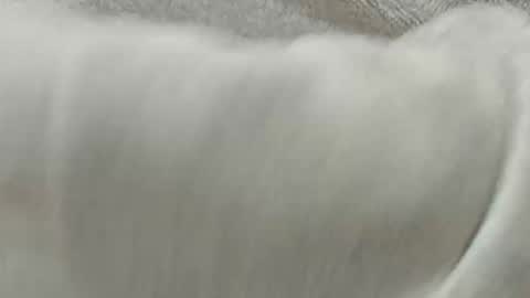 Snapshot of lustgardener67 chatting on 11-08-25, 02:28 lustgardener67 online show from 11-08-25, 02:28