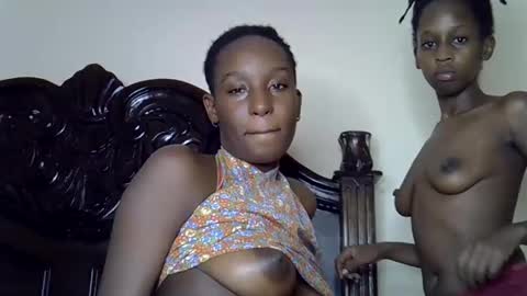 lutino_lovebirds online show from 03-12-26, 06:58