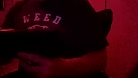 Luv2tokNstrok online show from 11-03-25, 10:49