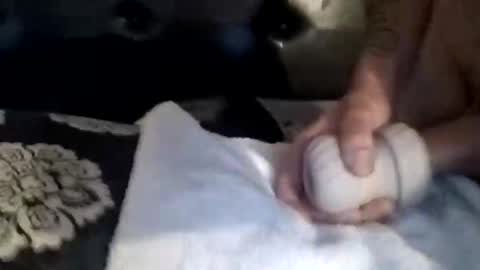 Snapshot of luvbiga554evr chatting on 11-05-25, 04:51 luvbiga554evr online show from 11-05-25, 04:51