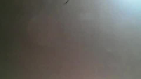 Bee Bee online show from 03-25-26, 04:29