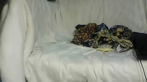 Bee Bee online show from 06-16-26, 05:54