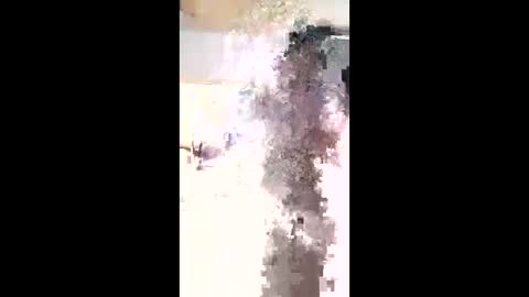 Snapshot of maciasbraulio846 chatting on 02-03-26, 06:00 maciasbraulio846 online show from 02-03-26, 06:00