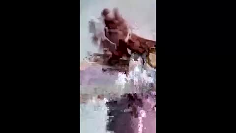 Snapshot of maciasbraulio846 chatting on 02-07-26, 06:50 maciasbraulio846 online show from 02-07-26, 06:50