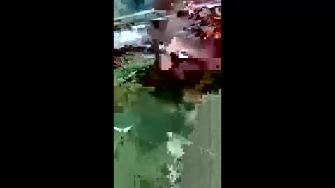 Snapshot of maciasbraulio846 chatting on 03-14-26, 09:48 maciasbraulio846 online show from 03-14-26, 09:48