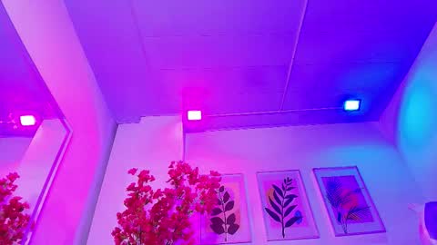 maddie_t18 online show from 02-04-26, 11:42