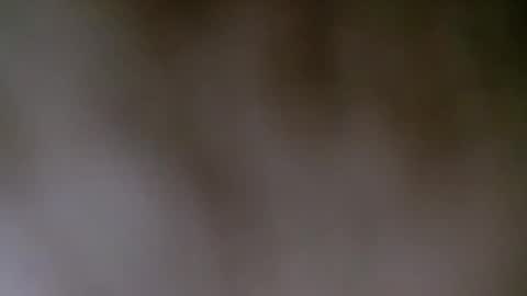 maestronex online show from 12-25-24, 04:22