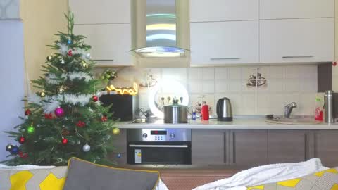 Alice online show from 12-24-24, 04:19