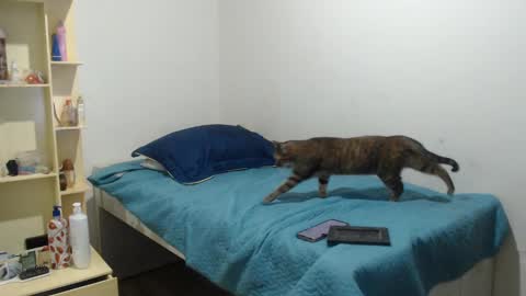 Snapshot of makennaa_1 chatting on 03-12-25, 09:12 MAKENNAA online show from 03-12-25, 09:12